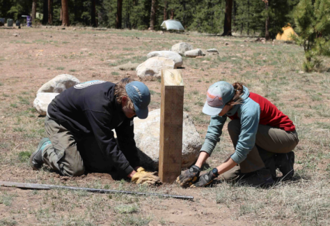 Chubb Park Sign & Kiosk Installation