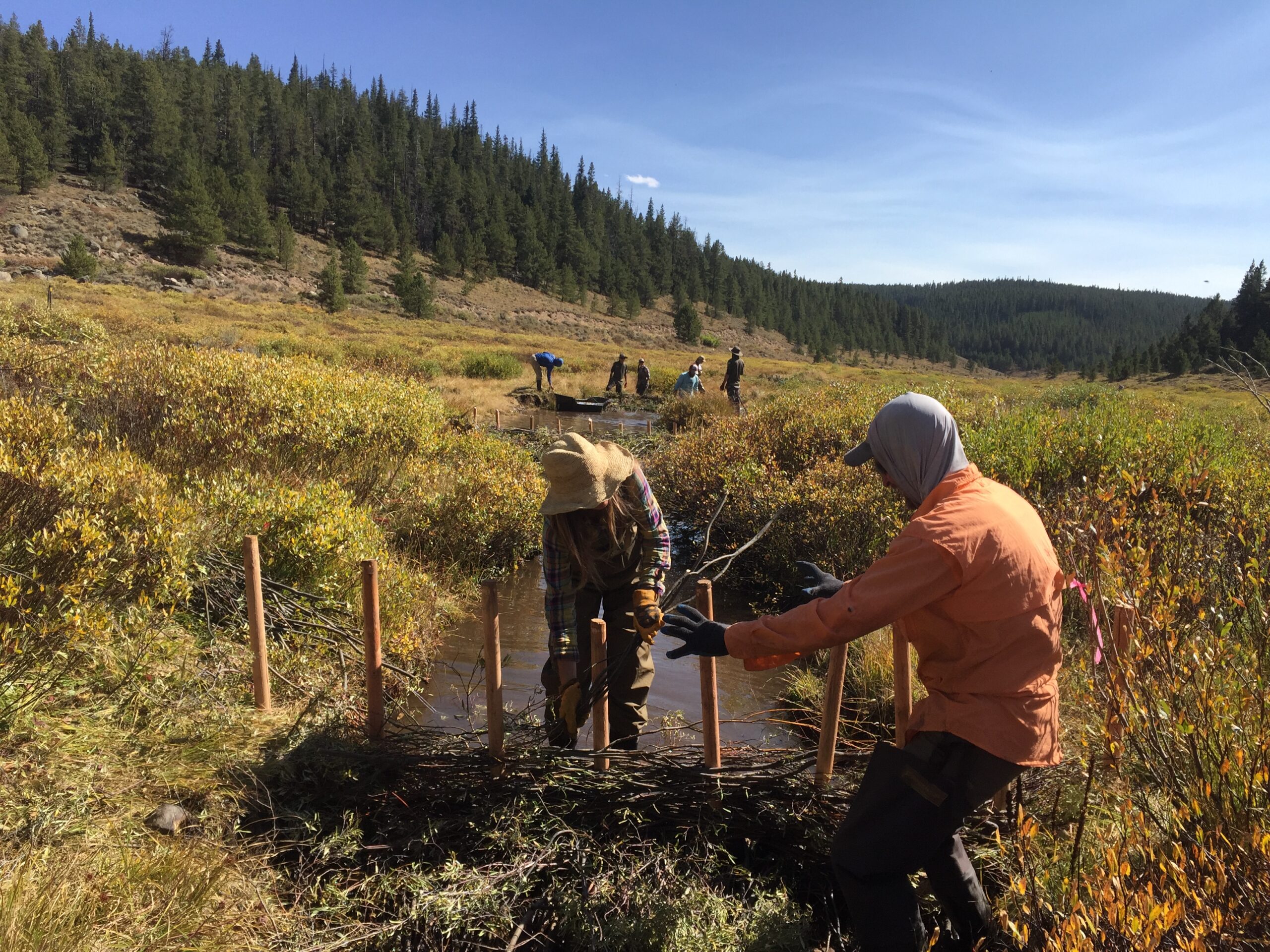 Fourmile Creek Wetlands Restoration